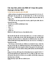 Các loại đơn phân của ADN là? 4 loại đơn phân tham gia cấu tạo ADN