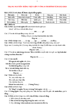 Đề thi Trạng nguyên Tiếng Việt lớp 3 năm 2023 - 2024 Vòng thi Đình