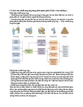 Vai Trò và Phân Tích Toàn Cầu Của Quản Trị Chuỗi Cung Ứng | Môn Quản trị chuỗi cung ứng quốc tế - Đại học Kinh Tế Quốc Dân
