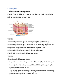 Giải Khoa học tự nhiên 8 bài 39: Da và điều hòa thân nhiệt ở người | Kết nối tri thức