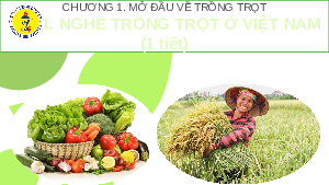 Giáo án điện tử Công nghệ 7 Bài 1 Chân trời sáng tạo: Nghề trồng trọt ở Việt Nam