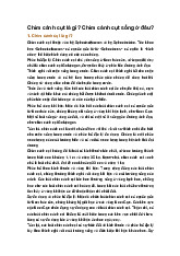 Chim cánh cụt là gì? Chim cánh cụt sống ở đâu?