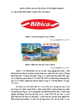 Báo cáo thực tập BiBiCa