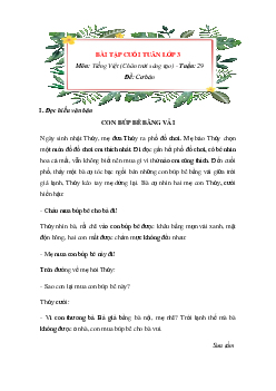 Bài tập cuối tuần tiếng Việt lớp 3 Chân trời sáng tạo Tuần 29 cơ bản