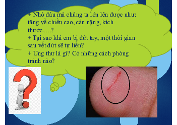 Chủ đề 7. Bài 13 | Bài giảng PowerPoint môn Sinh học 10 | Cánh diều