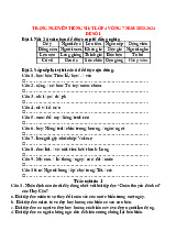 TOP 6 đề thi Trạng Nguyên Tiếng Việt lớp 4 vòng 7 năm học 2024 - 2025