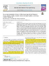An assessment potential of large-scale hydrogen export from Vietnam to Asian countries