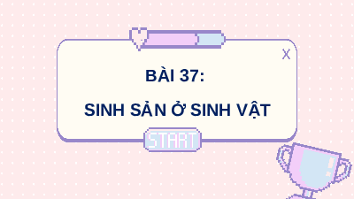 Giáo án điện tử Khoa học tự nhiên 7 bài 37 Chân trời sáng tạo :  Sinh sản ở sinh vật