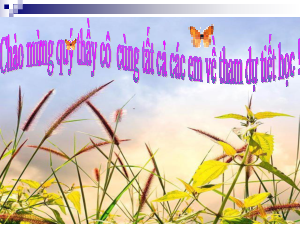 Bài 5 - Thương nhớ bầy ong | Bài giảng PowerPoint Ngữ Văn 6 | Chân trời sáng tạo