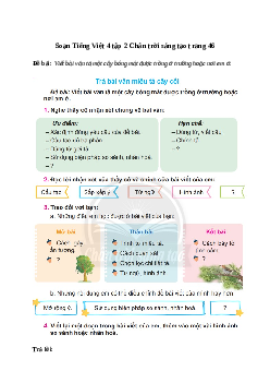 Soạn bài Viết: Trả bài văn miêu tả cây cối - Tiếng Việt 4 Chân trời sáng tạo