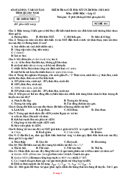 TOP 2 đề thi cuối kì I môn Sinh học 12 tỉnh Quảng Nam (có đáp án)