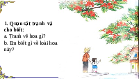 Giáo án điện tử Tiếng việt 1 bài 7 Chân trời sáng tạo : Hoa phượng