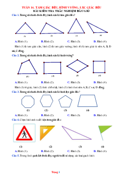 Bài tập toán 6 bộ kết nối tuần 16 tam giác đều hình vuông lục giác đều
