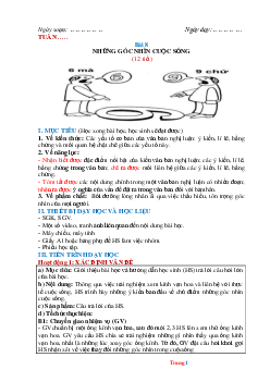 Giáo án Ngữ Văn 6 sách Chân trời sáng tạo Bài 8: Những góc nhìn cuộc sống