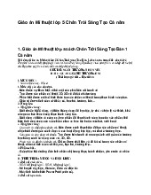 Giáo án Mĩ thuật lớp 5 Chân Trời Sáng Tạo Cả năm