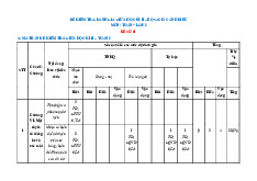 Bộ đề kiểm tra giữa học kì 2 Toán 8 Cánh Diều cấu trúc mới có đáp án
