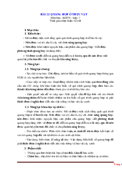 Giáo án KHTN 7 kết nối tri thức bài 22: Quang hợp ở thực vật