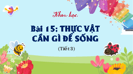 Giáo án điện tử Khoa học 4 Cánh diều: Thực vật cần gì để sống (tiết 3)