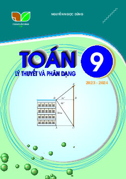 Lý thuyết và phân dạng môn Toán 9 – Nguyễn Ngọc Dũng