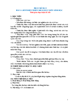 Giáo án Sinh học 10 sách Kết nối tri thức với cuộc sống (HKI) | Đề 1