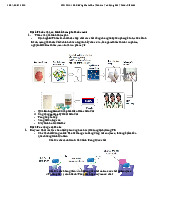Đề Cương Khám Thuốc Và Tác Dụng Của Thuốc môn Hóa Dược| Trường Đại học Y Dược, Đại học Quốc gia Hà Nội