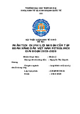 Phân Tích Chi Phí, Doanh Thu và Lợi Nhuận Tập Đoàn Petrolimex | Bài thảo luận kinh tế vi mô