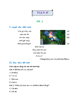 Bài tập cuối tuần lớp 2 môn Tiếng Việt Cánh Diều - Tuần 19