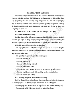 Bài giảng chương 4 : Pháp luật lao động