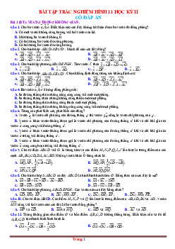 TOP 300 câu trắc nghiệm Hình 11 học kỳ 2 (có đáp án)