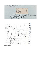 Bài Tập Nhóm 8 - Phân Tích Dữ Liệu Cuộc Đua và Khảo Sát Cử Tri môn Thống kê trong kinh tế và kinh doanh | Trường Đại học Kinh Tế Quốc Dân