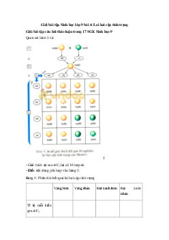 Giải bài tập Sinh học lớp 9 bài 4