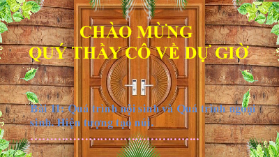 Bài 11: Quá trình nội sinh và quá trình ngoại sinh. Hiện tượng tạo núi | Bài giảng PowerPoint Địa Lí 6 | Kết nối tri thức