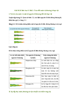 Bài 2: Trao đổi nước và khoáng ở thực vật | Giải Sinh 11 Cánh diều