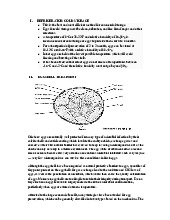 Bài báo cáo môn Hoá Thực Phẩm | Hóa thực phẩm | Đại học Nông Lâm Thành phố Hồ Chí Minh