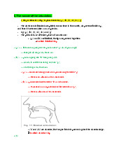 Tổng hợp ngữ âm âm vị học cho sinh viên tiếng Anh | Môn Ngữ âm - Âm vị học - Đại học Sư phạm Hà Nội 2