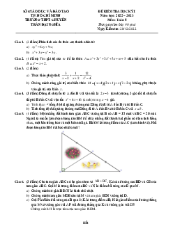 Đề học kỳ 1 Toán 8 năm 2022 – 2023 trường chuyên Trần Đại Nghĩa – TP HCM