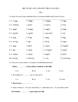 Đề thi học sinh giỏi lớp 6 môn Tiếng Anh năm học 2018 - 2019 (số 3)