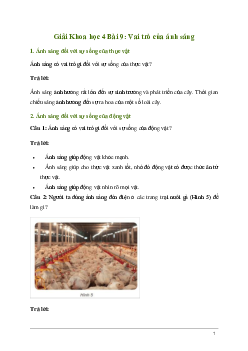Giải Khoa học lớp 4 Bài 9: Vai trò của ánh sáng | Kết nối tri thức