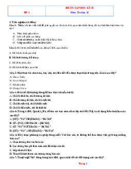 Bộ đề ôn thi học kỳ 2 môn Tin 12