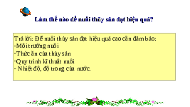 Giáo án điện tử Công nghệ 7 Bài 13 Chân trời sáng tạo: Quy trình kĩ thuật nuôi thuỷ sản