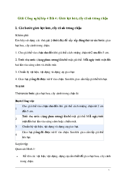 Giải Công nghệ lớp 4 Bài 4: Gieo hạt hoa, cây cảnh trong chậu | Kết nối tri thức