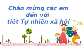 Giáo án điện tử tự nhiên và xã hội 2 Bài 5 Chân trời sáng tạo : Ôn tập chủ đề Gia đình.