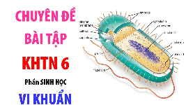 Giáo án điện tử Khoa học tự nhiên 6 bài 27 Kết nối tri thức : Vi khuẩn