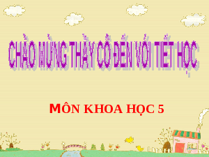 Giáo án điện tử Khoa học 5 Bài 30 Cánh diều: Cao su