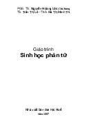 Giáo trình sinh học phân tử | Trường Đại học Huế