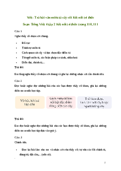 Soạn bài Viết: Trả bài văn miêu tả cây cối | Kết nối tri thức