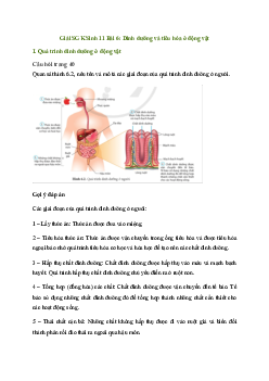 Bài 6: Dinh dưỡng và tiêu hóa ở động vật | Giải Sinh 11 Cánh diều