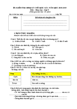 Đề thi học kì 1 môn Khoa học lớp 5 năm 2018 theo Thông tư 22