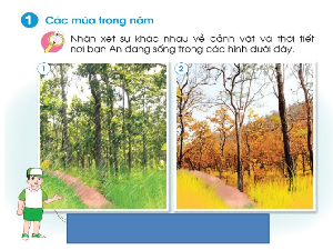 Giáo án điện tử Tự nhiên và xã hội 2 Bài 19 Cánh diều: Các mùa trong năm