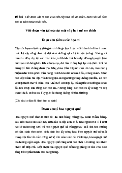 Viết đoạn văn tả hoa của một cây hoa mà em thích Tiếng việt 4 Chân trời sáng tạo